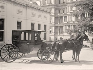 Horse Drawn Vehicle